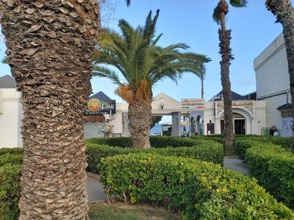 Villa Amalia 5 Торрев'єха Екстер'єр фото